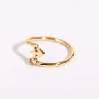 Gold Ring Zodiac Sign 12 Constellations Sagittarius