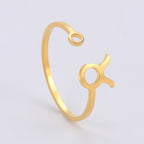 Zodiac Sign Ring 12 Constellations