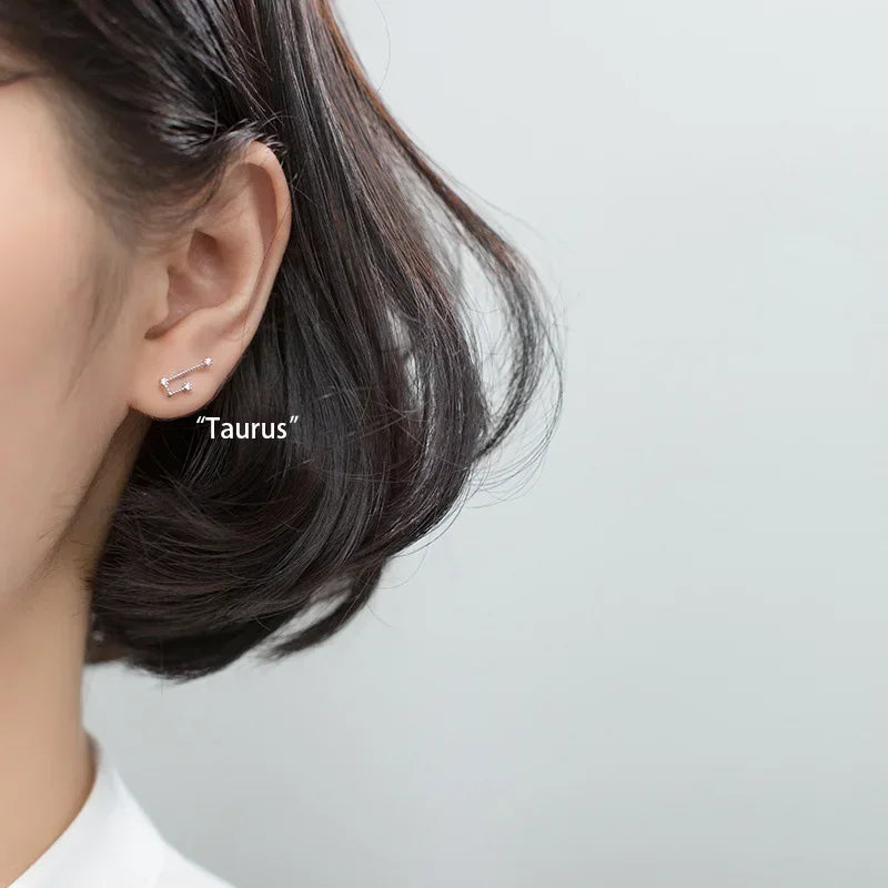 12 Constellations Zodiac Sign Earrings for Taurus Woman
