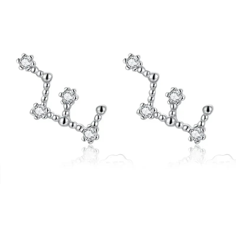 12 Constellations Zodiac Sign Earrings for Virgo Woman