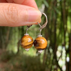 Women's Dangling Earrings Tiger's Eye