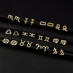 Zodiac Sign Earrings 12 Constellations