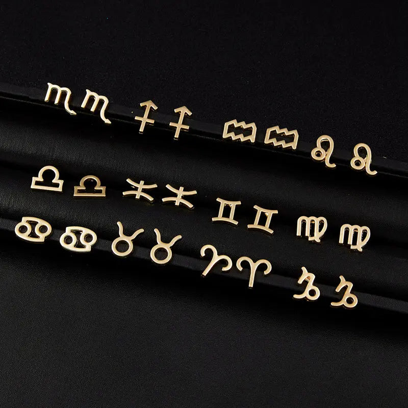 Zodiac Sign Earrings 12 Constellations