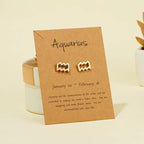 Zodiac Sign Earrings 12 Constellations Aquarius