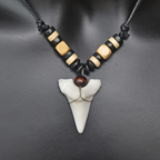 Necklace with Shark Tooth Pendant