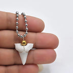 Collier avec Pendentif Dent de Requin Blanche