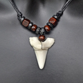 Necklace with Shark Tooth Pendant