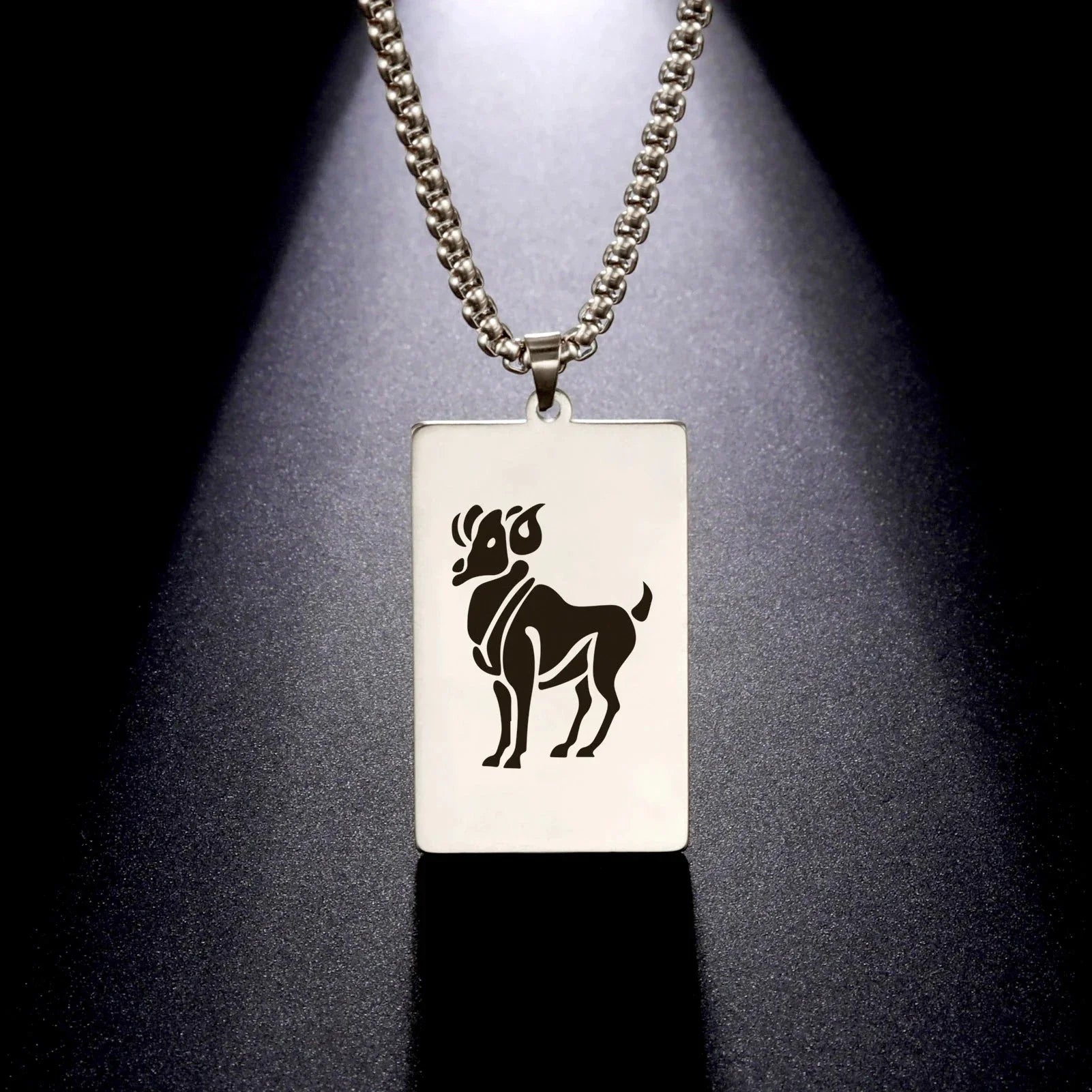 Necklace with Elegant Zodiac Sign Pendant