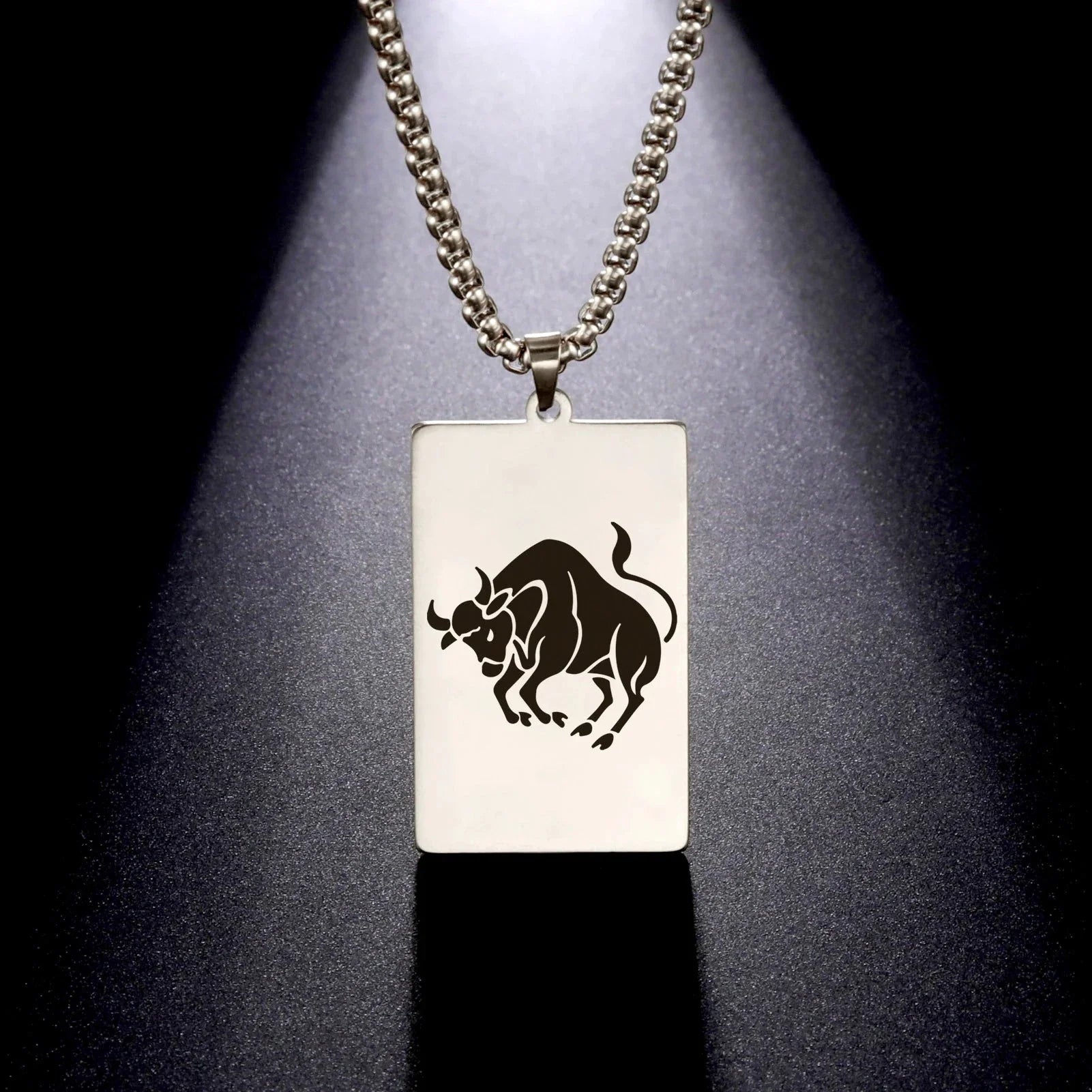 Necklace with Elegant Zodiac Sign Pendant